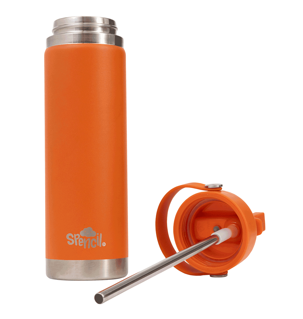 Spencil Insulated Large 650ml Water Bottle - Tiger