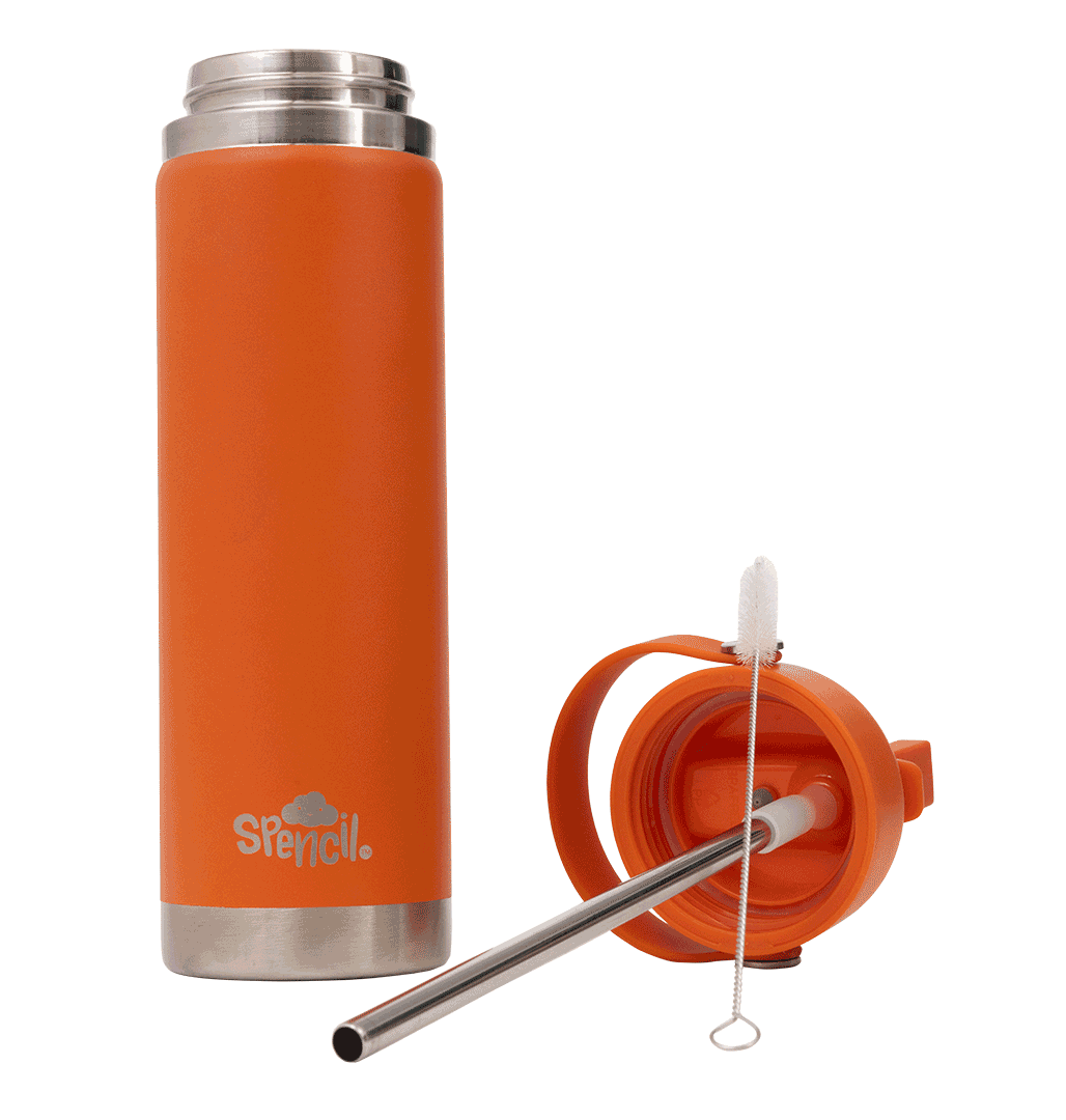 Spencil Insulated Large 650ml Water Bottle - Tiger