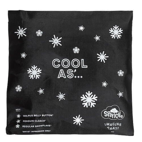 Front view of small Spencil Chill Pack